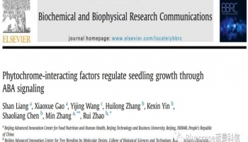 BBRC：DAP-seq解析拟南芥ABA-PIFs信号通路