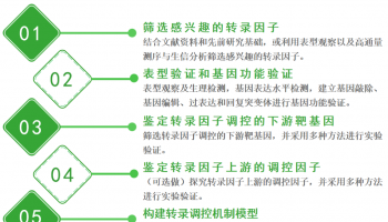 植物转录因子研究策略及方法