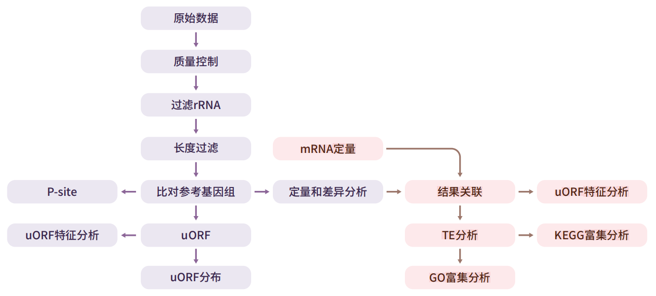 分析流程2.png