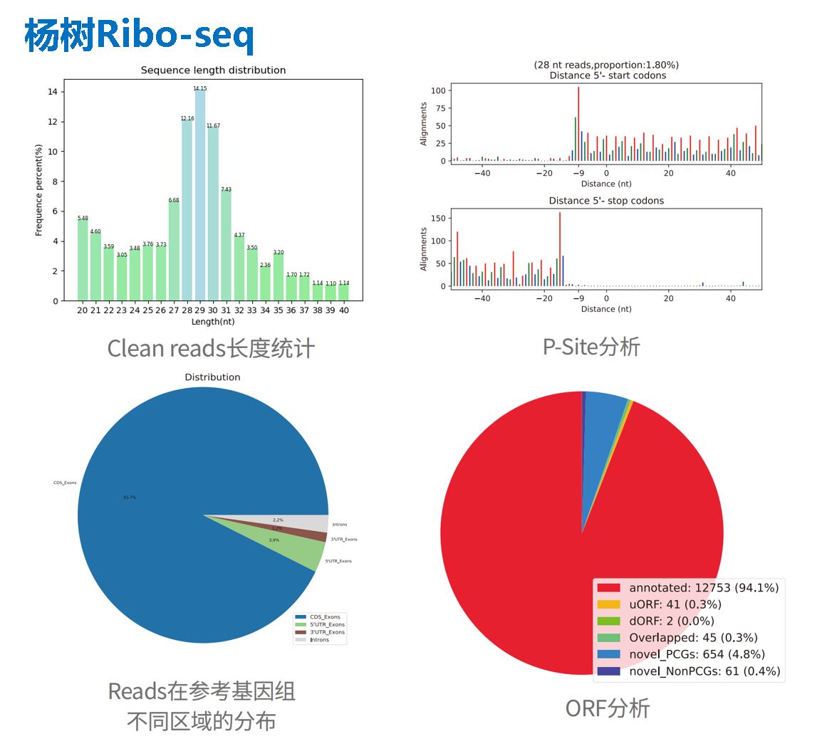 结果-杨树.png