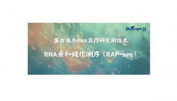 蛋白质与RNA互作研究新技术：RNA亲和纯化测序（RAP-seq）