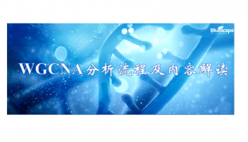 WGCNA分析流程及内容解读