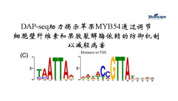 客户文章|DAP-seq助力揭示苹果MYB54通过调节细胞壁纤维素和果胶裂解酶依赖的防御机制以减轻病害