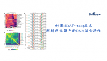 利用dDAP-seq技术解析转录因子的DNA结合特性
