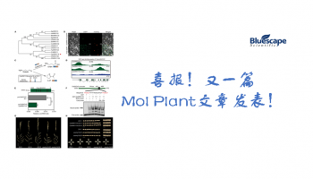 喜报！又一篇Mol Plant文章发表！DAP-seq技术助力客户挖掘水稻香气调控机制