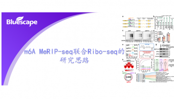 m6A MeRIP-seq联合Ribo-seq的研究思路