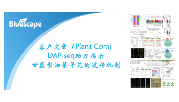 客户文章（Plant Com) ▏DAP-seq助力揭示甘蓝型油菜早花的遗传机制