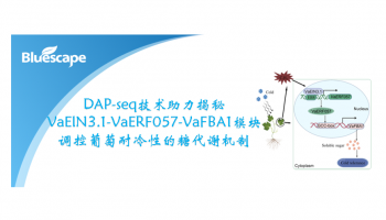 客户文章|DAP-seq技术助力揭秘VaEIN3.1-VaERF057-VaFBA1模块调控葡萄耐冷性的糖代谢机制