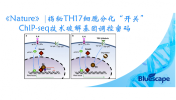 《Nature》|揭秘TH17细胞分化“开关”：ChIP-seq 技术破解基因调控密码