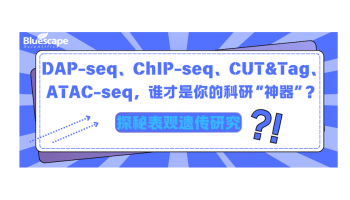 探秘表观遗传研究：DAP-seq、ChIP-seq、CUT&Tag、ATAC-seq，谁才是你的科研“神器”？