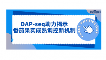 Plant Physiol | DAP-seq助力揭示番茄果实成熟调控新机制