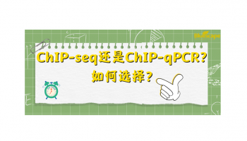 ChIP-seq还是ChIP-qPCR？如何选择？