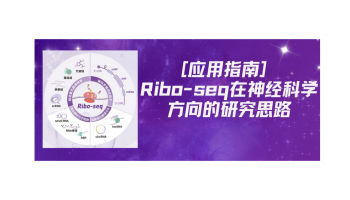 [应用指南] Ribo-seq在神经科学方向的研究思路