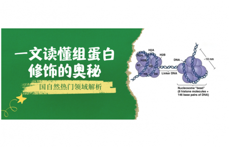 国自然热门领域解析：一文读懂组蛋白修饰的奥秘