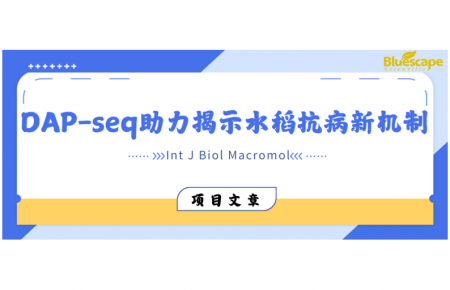 Int J Biol Macromol | DAP-seq助力揭示水稻抗病新机制