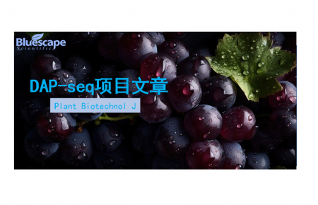 Plant Biotechnol J（IF=10.5）|DAP-seq助力揭示葡萄白粉病抗性机制