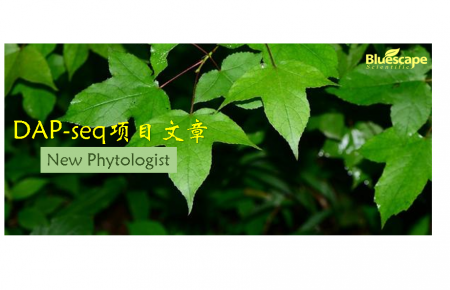 New Phytologist（IF=8.1） ▏DAP-seq助力揭示杂交枫香再生调控新机制