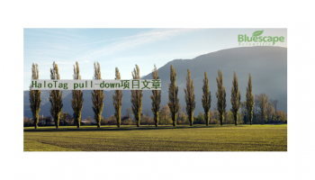 项目文章▏HaloTag pull-down技术助力揭示PeCPK21与HMAPs互作增强杂交杨镉胁迫耐受性的分子机制