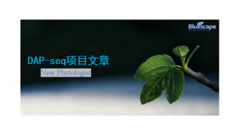 New Phytologist（IF=8.1） ▏DAP-seq助力揭示杂交枫香再生调控新机制