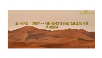 文章分享 | 基因沙漠：调控Shox2基因多效性表达与胚胎发育的关键区域