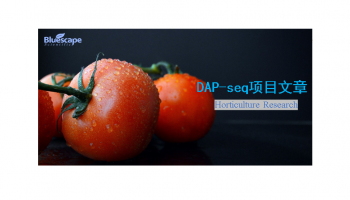 客户文章 | DAP-seq助力揭示番茄抗酸铝分子调控新机制