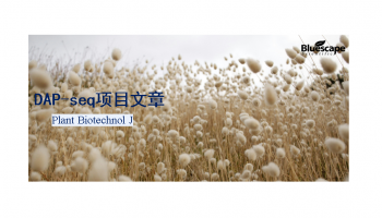 客户文章|DAP-seq助力揭示GhSBI1调控棉花果枝节间伸长的分子机制