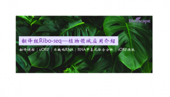 Ribo-seq研究思路解析-植物领域篇