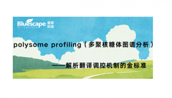 polysome profiling（多聚核糖体图谱分析）——解析翻译调控机制的金标准