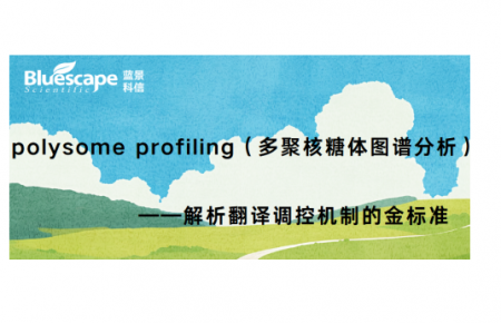 polysome profiling（多聚核糖体图谱分析）——解析翻译调控机制的金标准