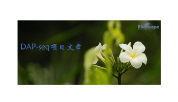 New Phytologist（IF=8.1）DAP-seq助力解析拟南芥雄性育性调控网络