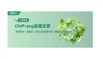 【文献解读】ChIP-seq应用：解锁地钱叶绿体发育调控密码