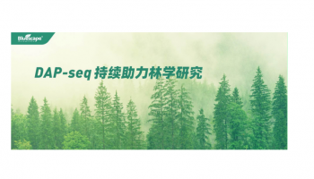 祝贺客户喜得新突破，杨树研究成果三连发！
