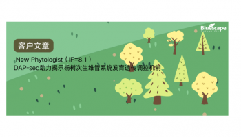 New Phytologist（IF=8.1）▏DAP-seq助力揭示杨树次生维管系统发育遗传调控机制