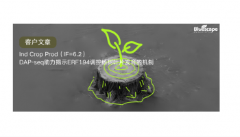 Ind Crop Prod（IF=6.2）|DAP-seq助力揭示ERF194调控杨树叶片发育的机制