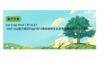 Ind Crop Prod（IF=6.2）| DAP-seq助力揭示PagHSF4调控杨树生长发育与耐盐性的分子机制