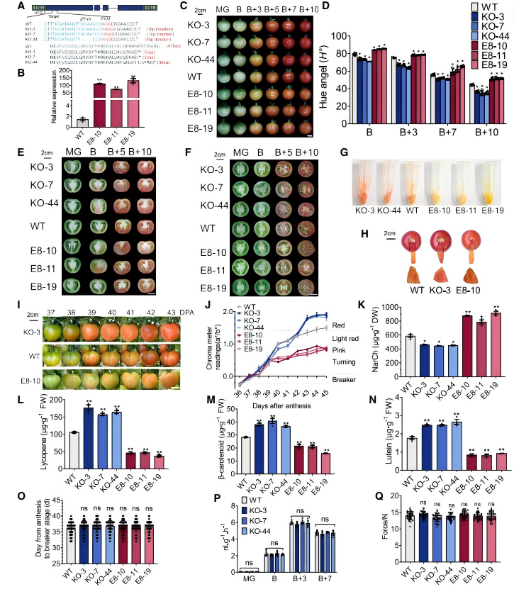 091957684226.png 图1.png