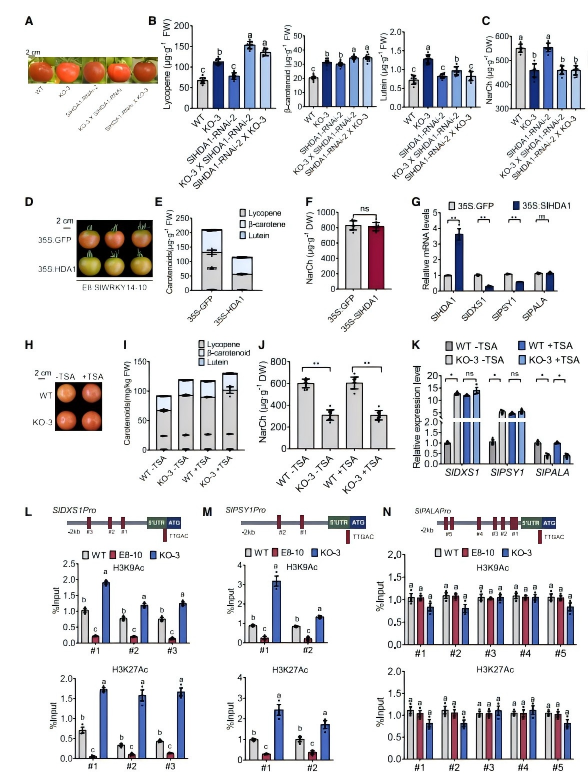092317385229.png 图7.png
