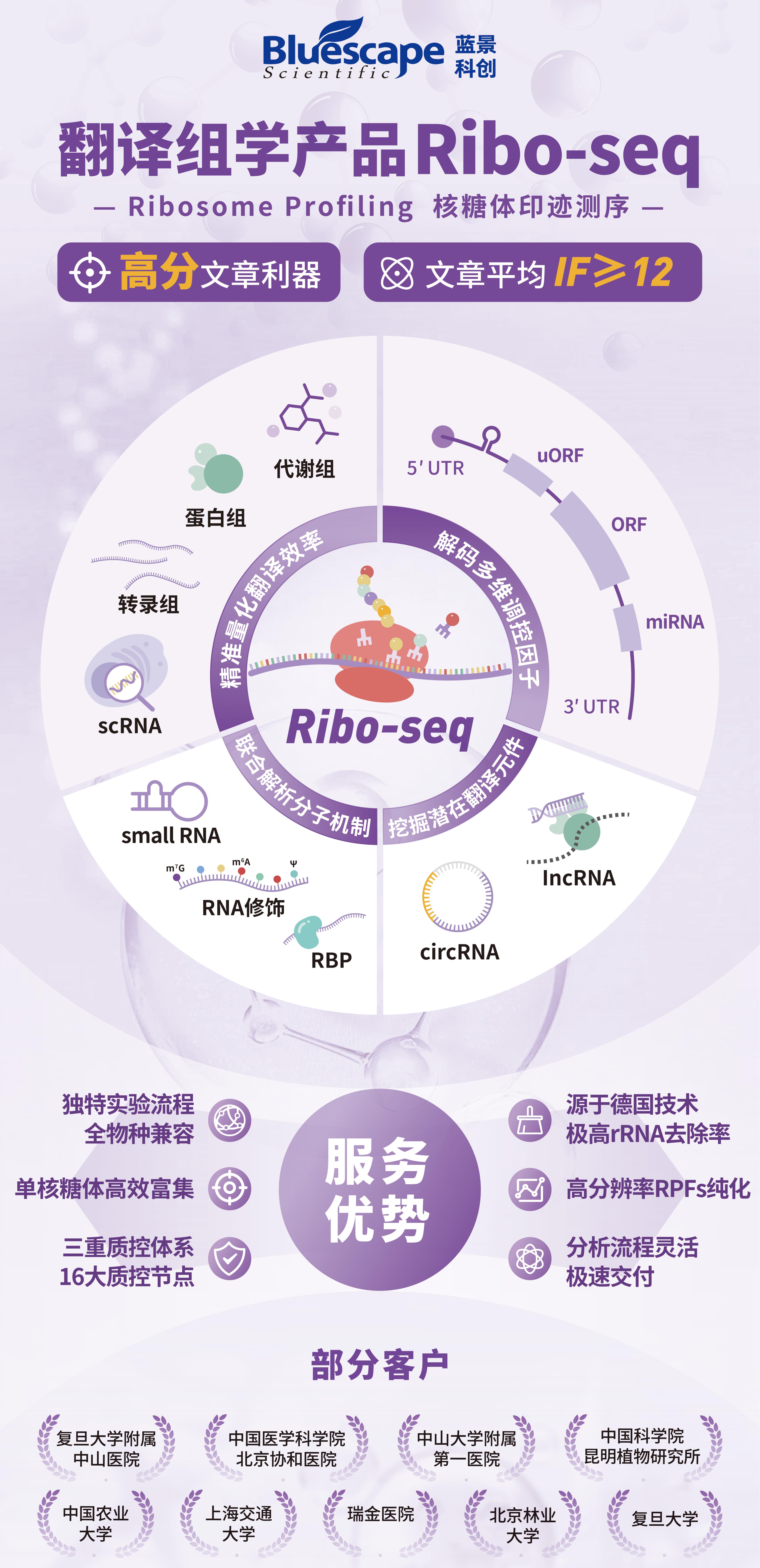 ribo易拉宝-80 200-2025V2.jpg