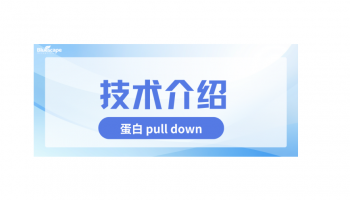 【收藏】蛋白 Pull Down：蛋白互作研究利器