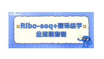 Ribo-seq+翻译组学全流程套餐｜一站式解锁翻译调控“密码本”