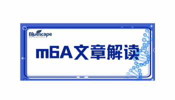 m6A文章解读-YTHDF1调控结直肠癌免疫抑制与免疫治疗耐药