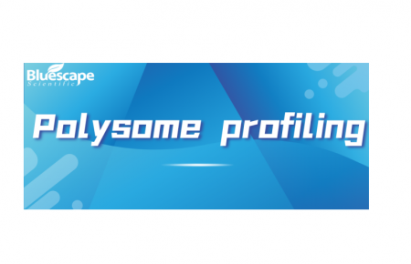 Polysome profiling下游实验 | 附文献分享