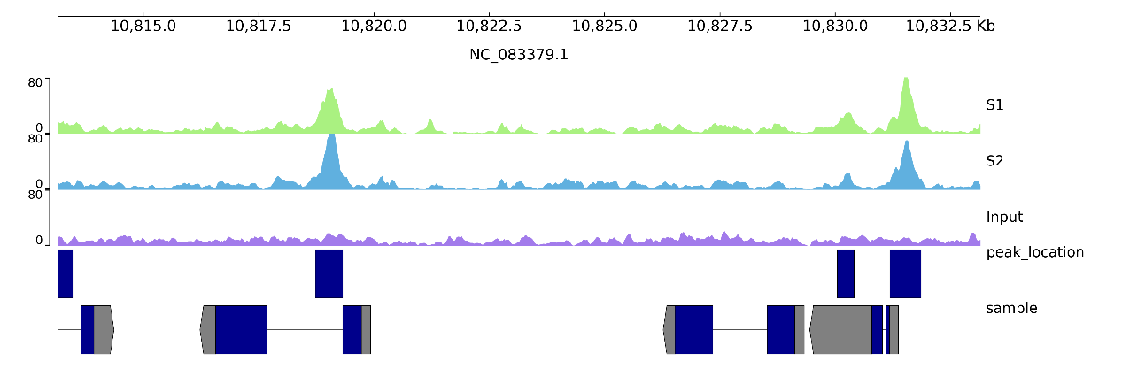 133751187964.png WPS图片2.png