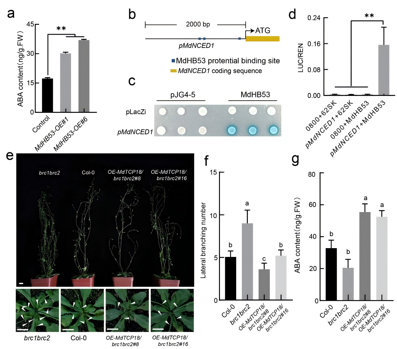 174739146084.png 图7.png