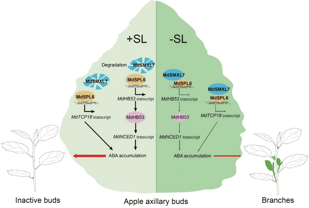 174821288705.png 图8.png