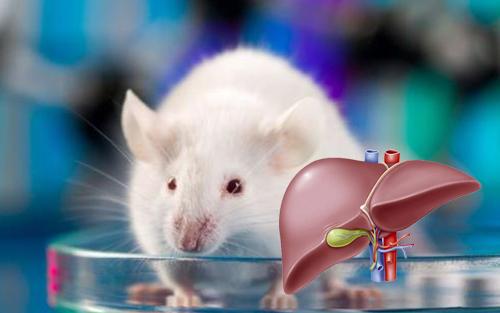 134545388645.jpeg WPS图片(1).jpeg