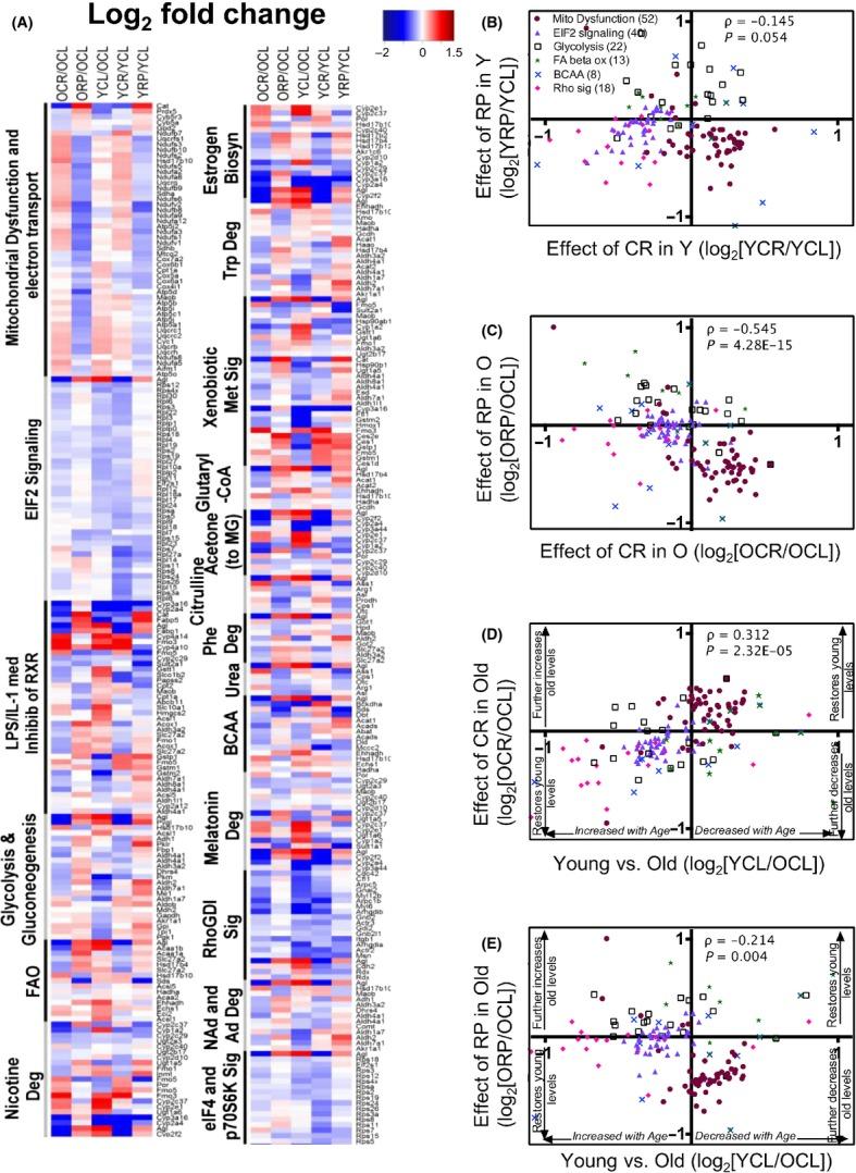 140448946324.jpeg WPS图片(18).jpeg