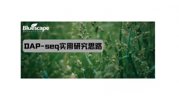 DAP-seq实用研究思路助力植物转录调控研究