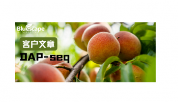 Horticulture Research（IF = 8.5）▏DAP-seq技术助力揭示MeJA缓解桃果实冷害的分子机制