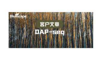 JIPB（IF=9..3）▏DAP-seq技术助力揭示低氮胁迫下毛白杨木材形成的分子调控机制